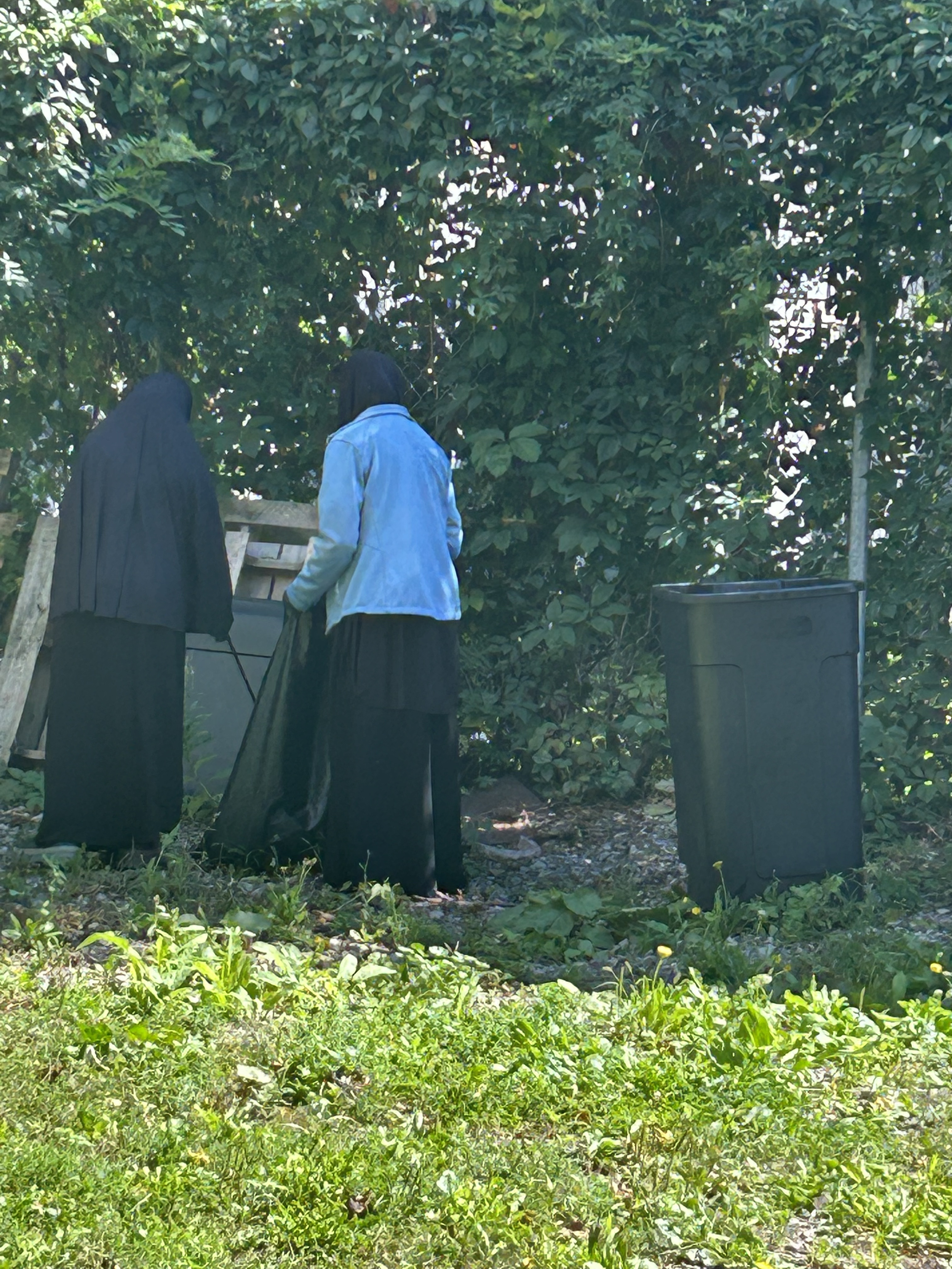 Volunteers clearing litter near a neighborhood yard